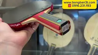 Vợt bóng bàn Butterfly siêu cao cấp #MizutaniSuperZLC #Dignics05 #Dignics64 #votbutterflycaocap