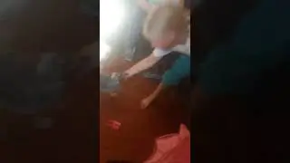 приёмный ребёнок,  чайка