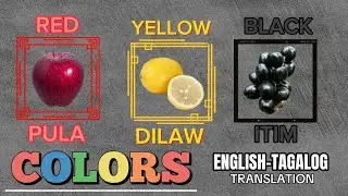 Different Colors | Iba't - Ibang Uri ng Kulay | English - Tagalog Translation