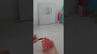 ♨️Перевірка лайфхаку з тік току (з помідором)🍅/♨️Tik Tok life hack check (with tomato)🍅