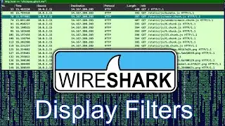 Wireshark Display Filters | Wireshark 4
