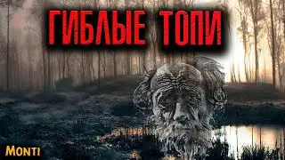 ГИБЛЫЕ ТОПИ | Страшные истории