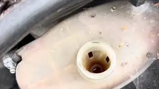 Разборка Renault-Trafic 2001-2014, 1.9 (VIN:VF1FLACA65V245064)  S70NRG