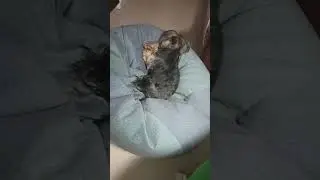 вышивальные будни😄