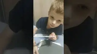 Наши покупки. Магазин 