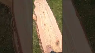 Chainsaw Milling Cedar log