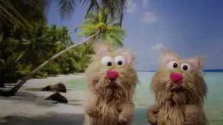 Interlutions: Unser Song für Weihnachten