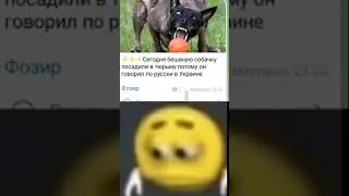 грустно... #рекомендации #memes