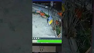 Adam Kangalı Farketmeseydi ?