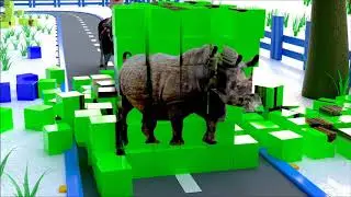Learn Wild Animals and Fruits with Funny Baby Style PC Games Pretend Play Cartoon with
