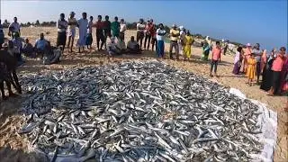 Fishing in Arugam Bay Sri lanka Part 2
