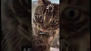 Признавайтесь, кто не знал?😂 
