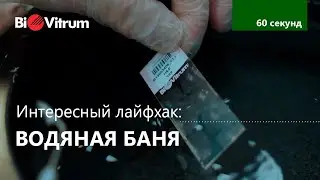 Как чистить лабораторную водяную баню?