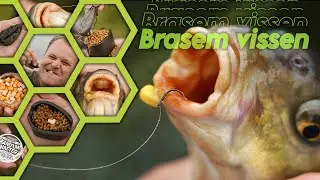 Brasem vissen - op een zand afgraving