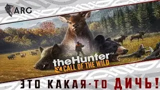The Hunter: Call of The Wild ! Сумасшедший охотник в поисках жертвы=)