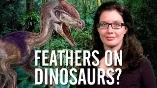 Esther's Rant: Feathered Dinosaurs Are Stupid