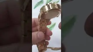 invicta pro diver 