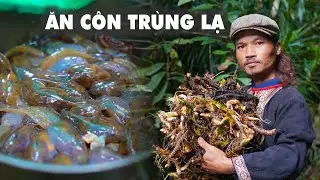 BẮT ĐƯỢC CÔN TRÙNG LẠ ĂN CHỐNG ĐÓI | Già Làng Tây Nguyên