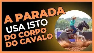 Como parar um cavalo Segredo do comando de parada pro cavalo