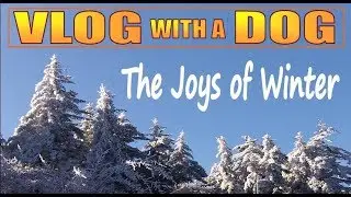 WINTER AT THE MOUNTAIN CABIN.   A Cabin Life Vlog with a Dog