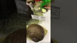 Садовые фигуры Унидом