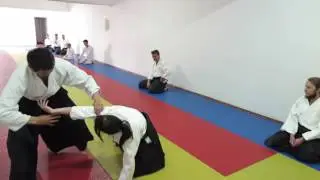 tachi waza morote dori nikkyo