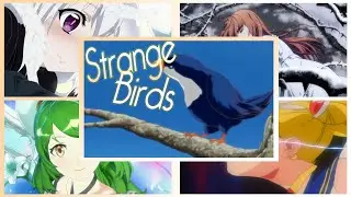 Magical Girl Transformations - Strange Birds