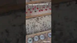 чем дышат пианисты