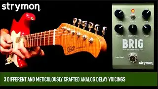 Strymon Brig DBucket Delay