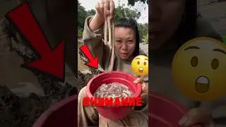 🪱 Существо, которое превращает корабли в труху! 