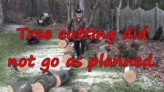 Tree Cutting Didn't go as Planned!