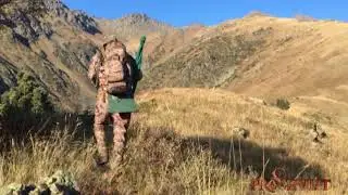 Maral hunting in Jungarian Alatau