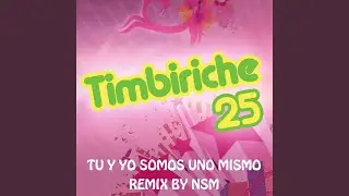 Tu Y Yo Somos Uno Mismo (Remix)