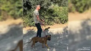 ROSKO ADOTTATO!!!!