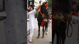 Jay Ramsa pir 🙏🚩