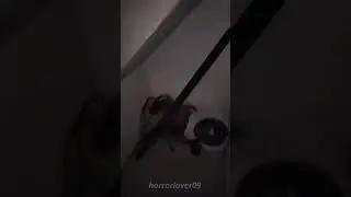 Did you saw that | HORROR LOVER |