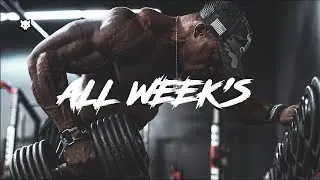 BAD WOLF 🐺 - ALL WEEK'S