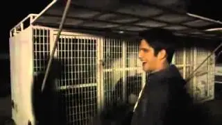 TW BTS: Meet Shadow