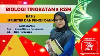 2.4 DAN 2.5 STRUKTUR DAN FUNGSI DAUN (BAHAGIAN 2)