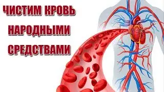 3 Лучших Способа - ОЧИЩЕНИЯ КРОВИ, народными средствами. ЭТО НАДО ЗНАТЬ!