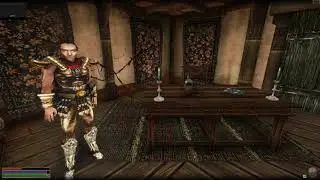 OpenMW Test Blood Splat