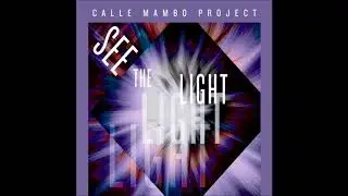 NEW PALENQUE - CALLE MAMBO PROJECT 2018