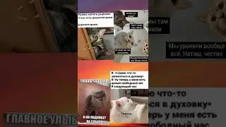 #мем #мемы #рек #реки #рекомендации #актив #америка #блекраша #раша #роблокс #коты #кот #майнкрафт