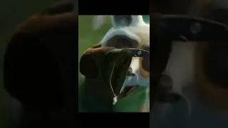 Брежиковская читайская мудрость 