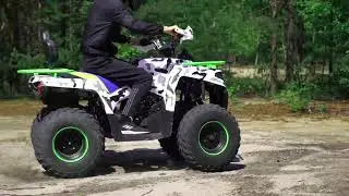 Семейный комплект квадроцикл PROMAX FOREST HUNTER 300 vs квадроцикл PROMAX SCORPION 180CC, обзор