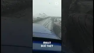 Ямал, всё тает и скоро лето