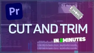 How to Cut Video in Premiere Pro | Beginners Tutorial