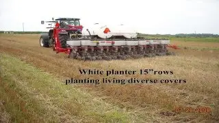 Improving Soil Health with David Brandt