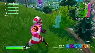 Fortnite_20231129144658