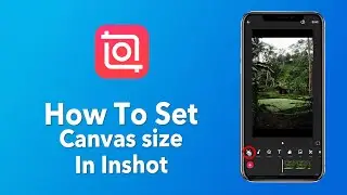 How to set canvas size in inshot